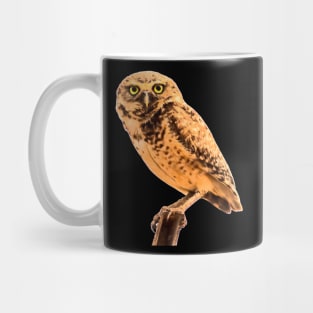 beautiful owl Mug